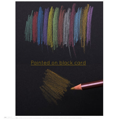 Superior Artist Metallic Colour Pencil Professionals Metal Box Non-toxic - 12pcs