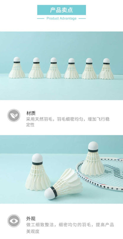 M&G Chenguang pack of 6 Training Game Durable , Sports Entertainment Badminton Flying Ball Outdoor A2 - No:AST09312