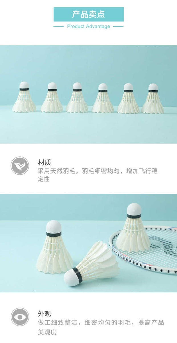 M&G Chenguang pack of 6 Training Game Durable , Sports Entertainment Badminton Flying Ball Outdoor A2 - No:AST09312