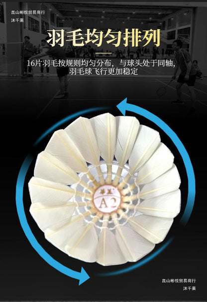 M&G Chenguang pack of 6 Training Game Durable , Sports Entertainment Badminton Flying Ball Outdoor A2 - No:AST09312