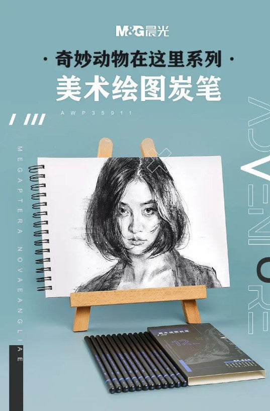 M&G Chenguang Extra Soft Charcoal Set Mixed Soft Medium Hard Studio - 12pcs - No:AWP35911
