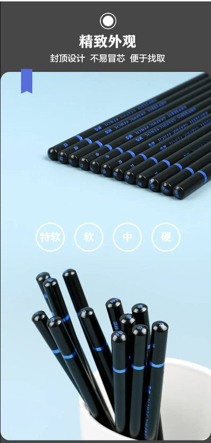 M&G Chenguang Extra Soft Charcoal Set Mixed Soft Medium Hard Studio - 12pcs - No:AWP35911