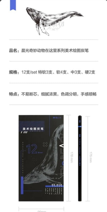 M&G Chenguang Extra Soft Charcoal Set Mixed Soft Medium Hard Studio - 12pcs - No:AWP35911