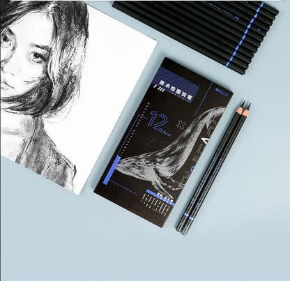 M&G Chenguang Extra Soft Charcoal Set Mixed Soft Medium Hard Studio - 12pcs - No:AWP35911