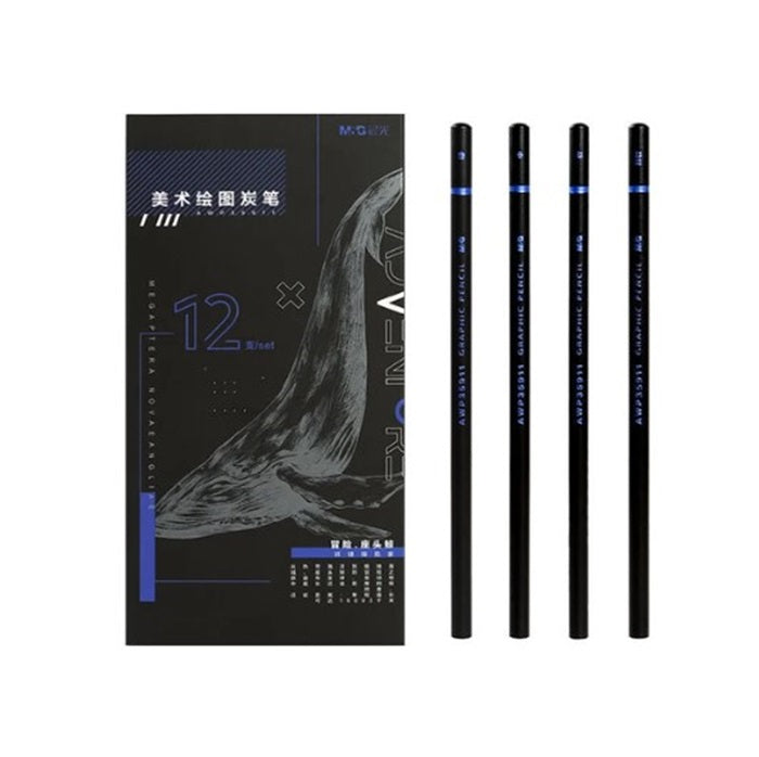 M&G Chenguang Extra Soft Charcoal Set Mixed Soft Medium Hard Studio - 12pcs - No:AWP35911