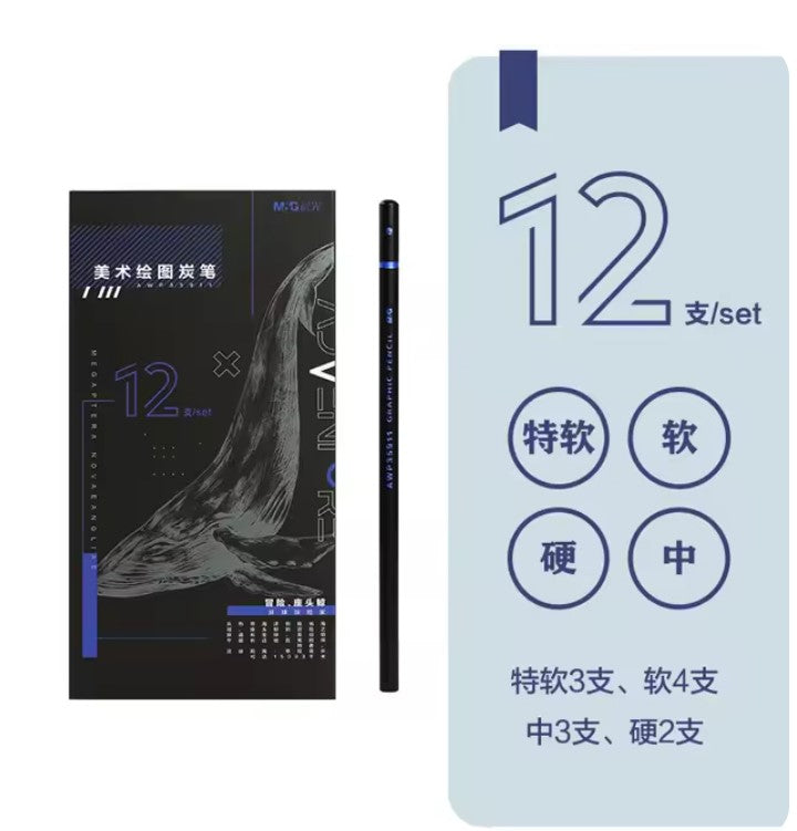 M&G Chenguang Extra Soft Charcoal Set Mixed Soft Medium Hard Studio - 12pcs - No:AWP35911