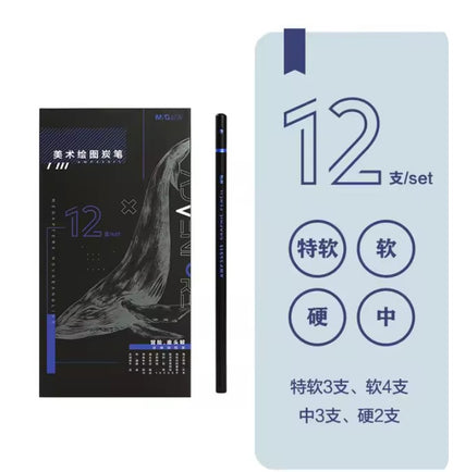 M&G Chenguang Extra Soft Charcoal Set Mixed Soft Medium Hard Studio - 12pcs - No:AWP35911