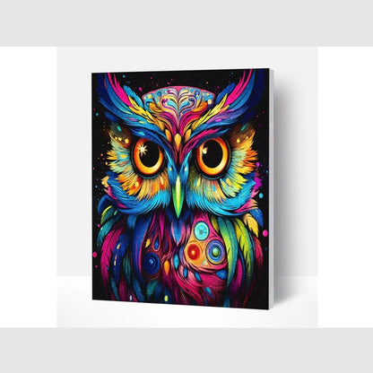 Splat Planet Owl Diamond Art Kit, Size: 40 cm x 30 cm